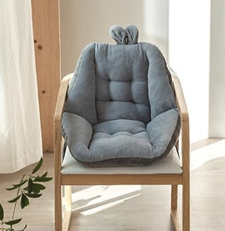 Seat Cushion With Back